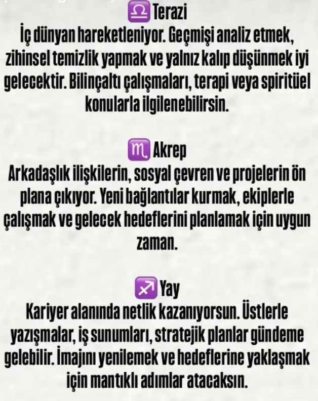 merbas2 (3) - Kopya.webp
