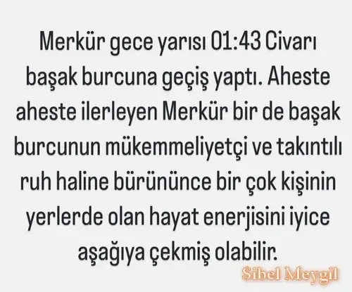 merbaş4 (2).webp