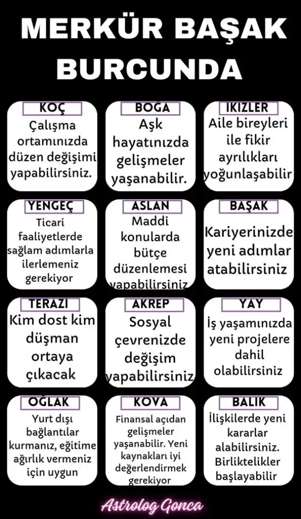 merbaş978.webp