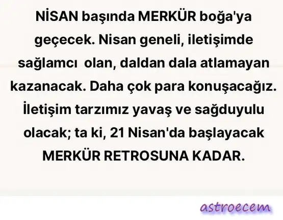 merboğ.webp