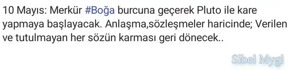 merboğ.webp