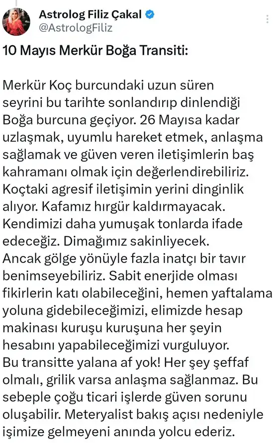 merboğ.webp