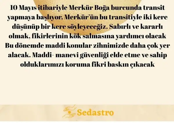 merbog.webp
