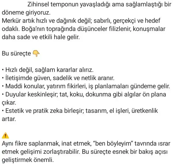 merboğ2 (2).webp