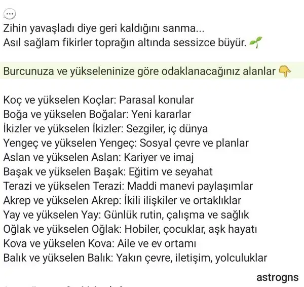 merboğ2 (3).webp