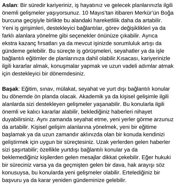 merboğ55 (4).webp