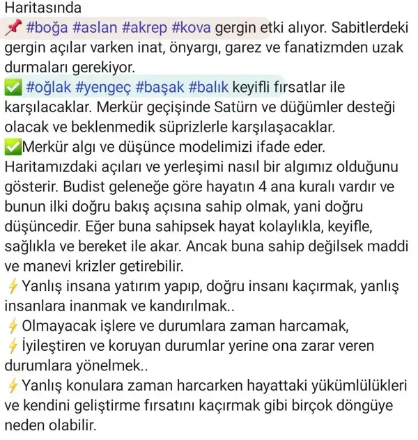 merboğ9 (2).webp