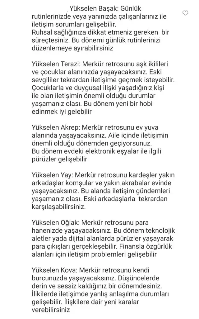 merk (2).webp