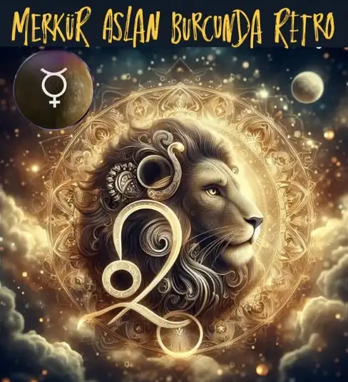 merk asl retr (2).webp
