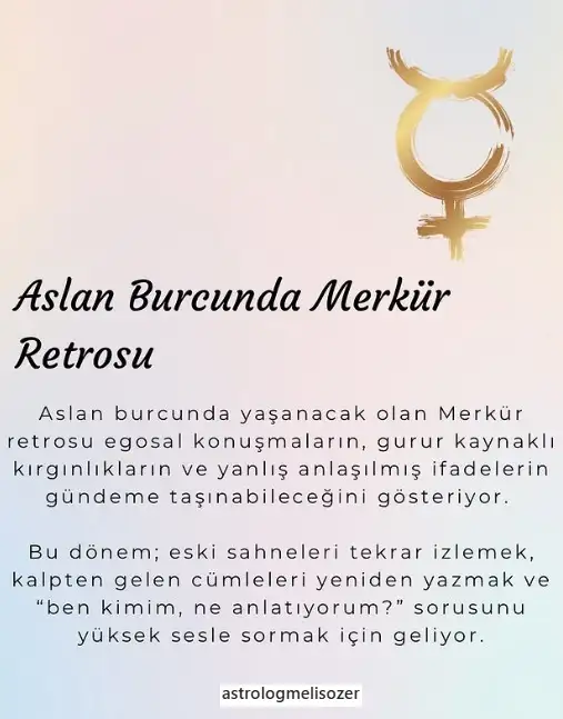 merk asl retr (2).webp