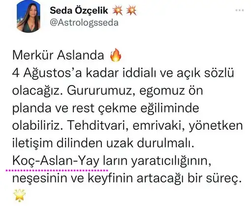 merk aslan.webp