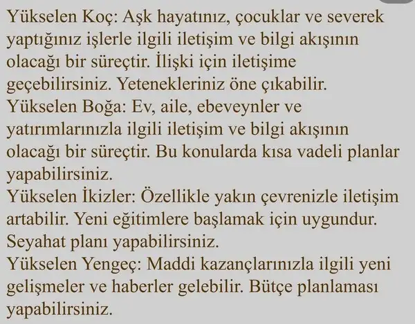 merk aslan3 (2).webp