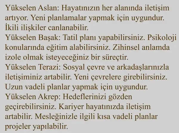 merk aslan3 (3).webp