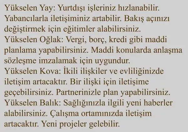 merk aslan3 (4).webp