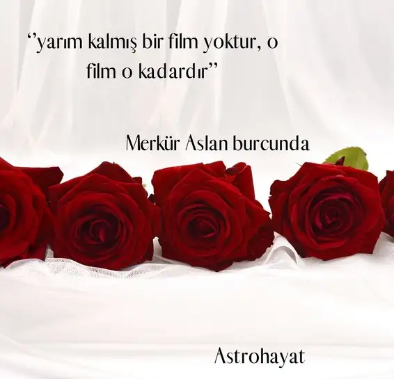 merk aslan5.webp