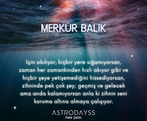 merk balık1 - Kopya.webp