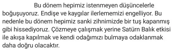 merk balık1.webp