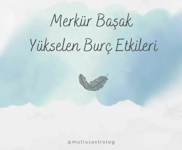 merk baş (1).webp