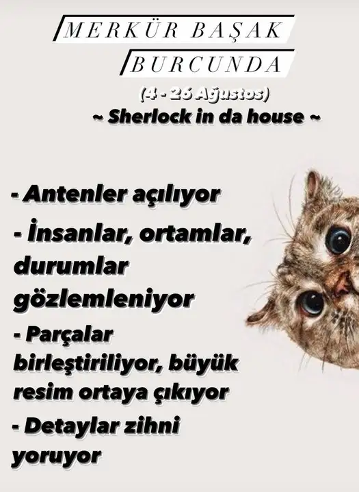 merk baş4 (1).webp