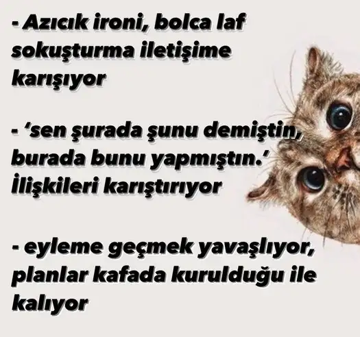 merk baş4 (2).webp