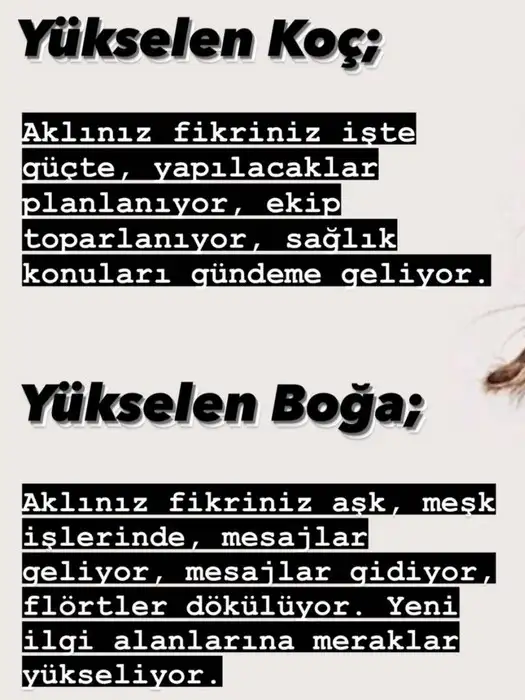 merk baş4 (3).webp