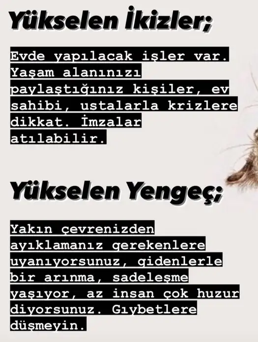 merk baş4 (4).webp