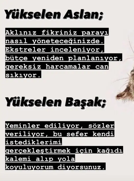 merk baş4 (5).webp