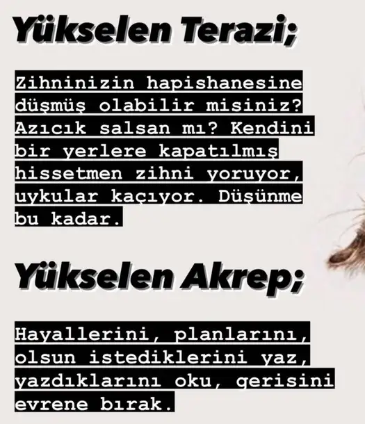 merk baş4 (6).webp