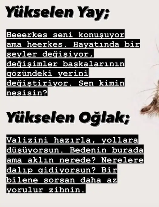 merk baş4 (7).webp