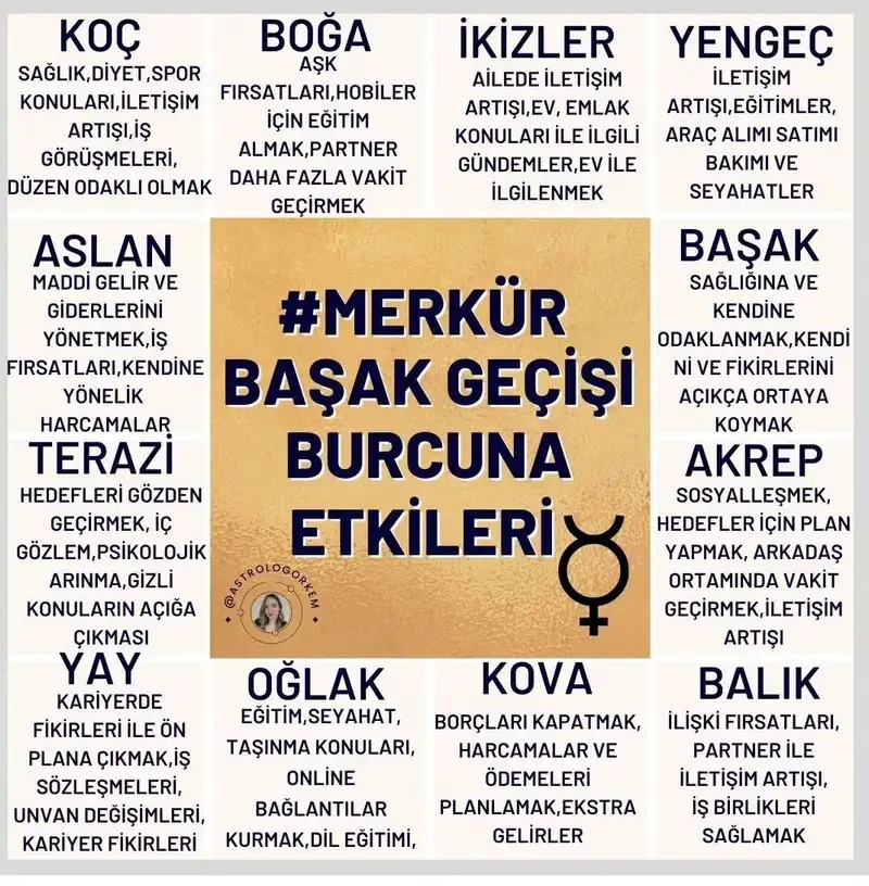 merk basak8.webp