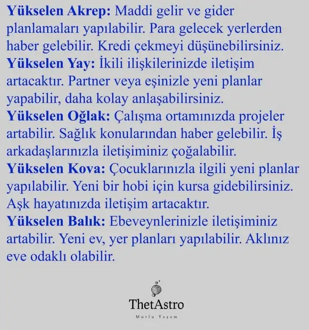 merk ikizler (4).webp