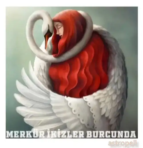 merk ikizler4 (1).webp
