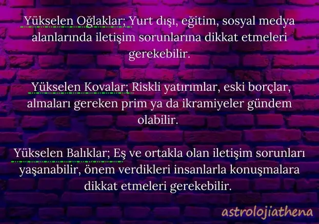 merk ret (5).webp