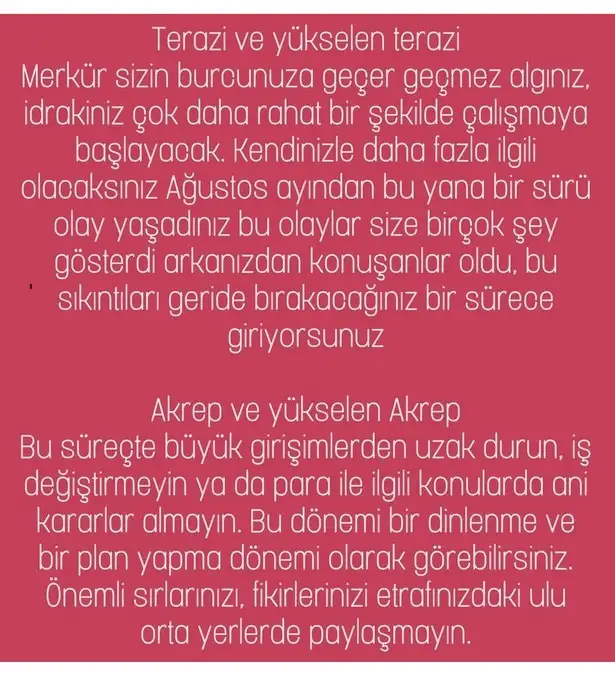 merk ter1 (5).webp