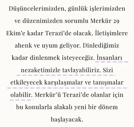 merk ter8 (1).webp