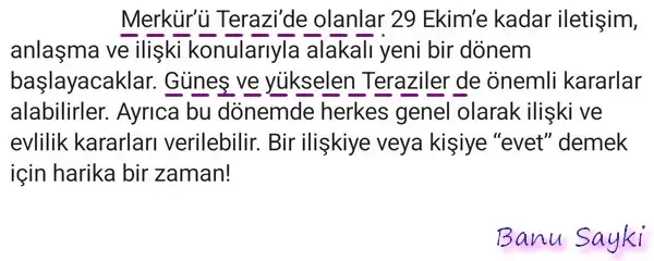 merk ter8 (2).webp