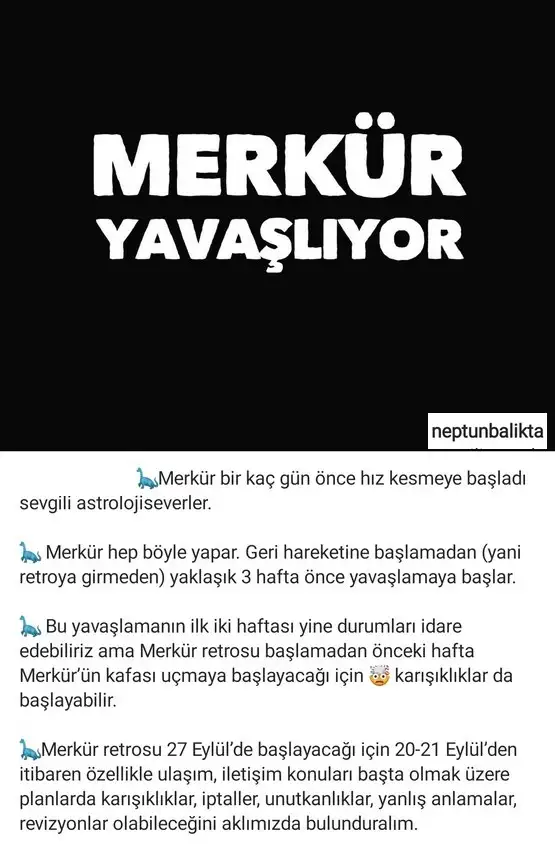 merk.webp
