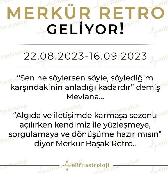 merk.webp