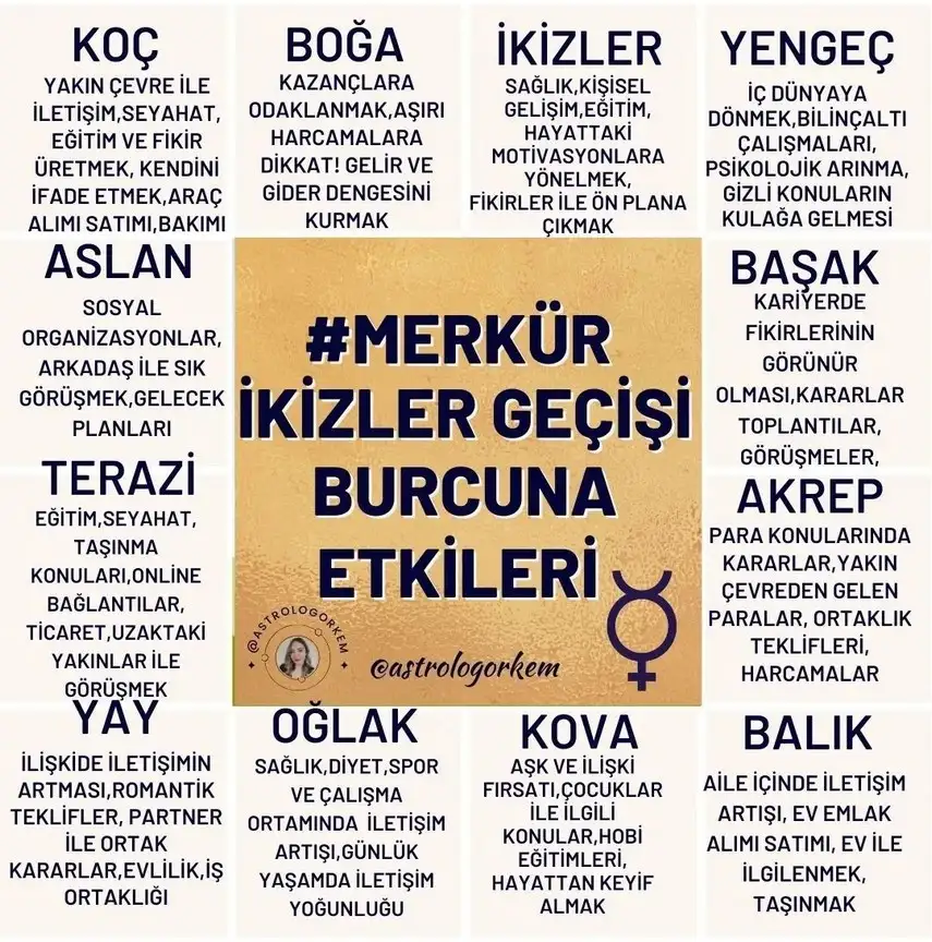 merk.webp