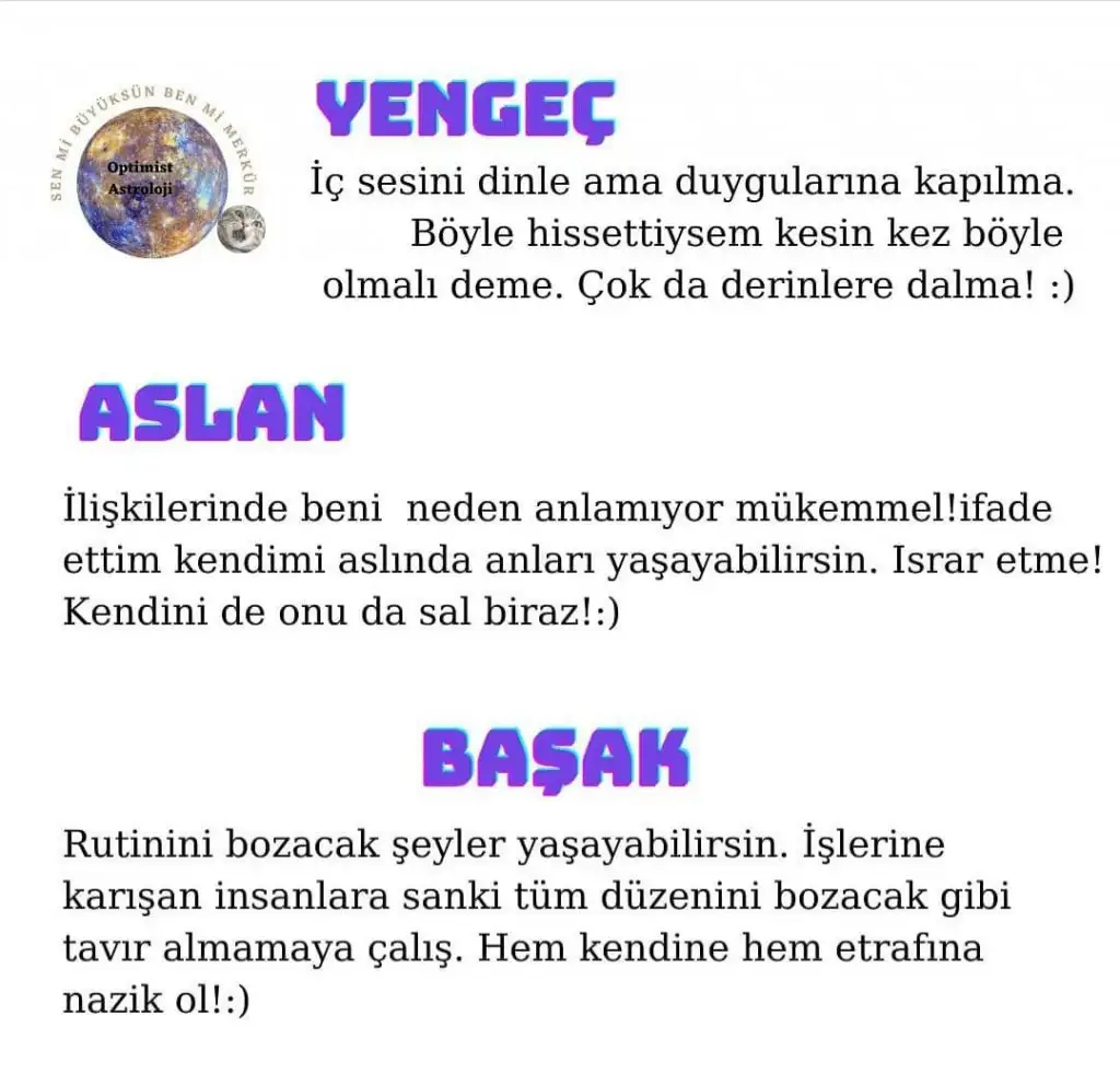merk1 (2).webp
