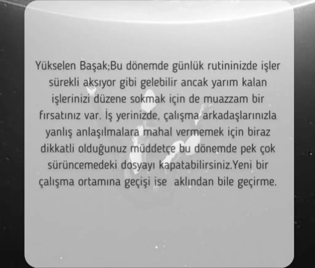 merk1 (4).webp