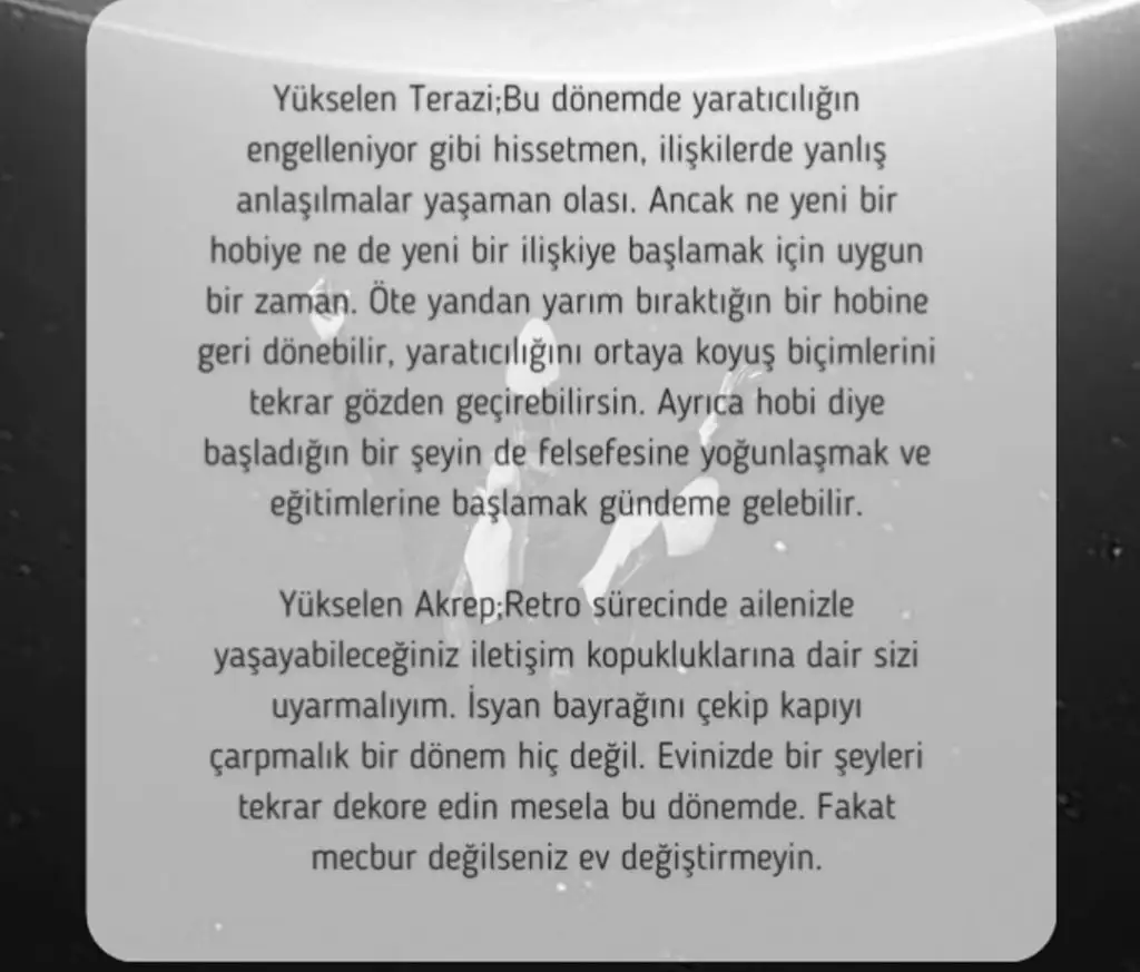 merk1 (5).webp