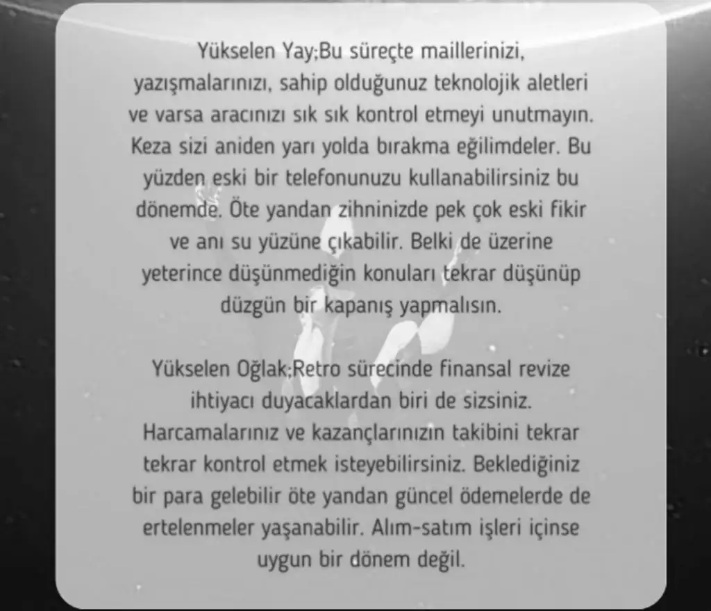 merk1 (6).webp