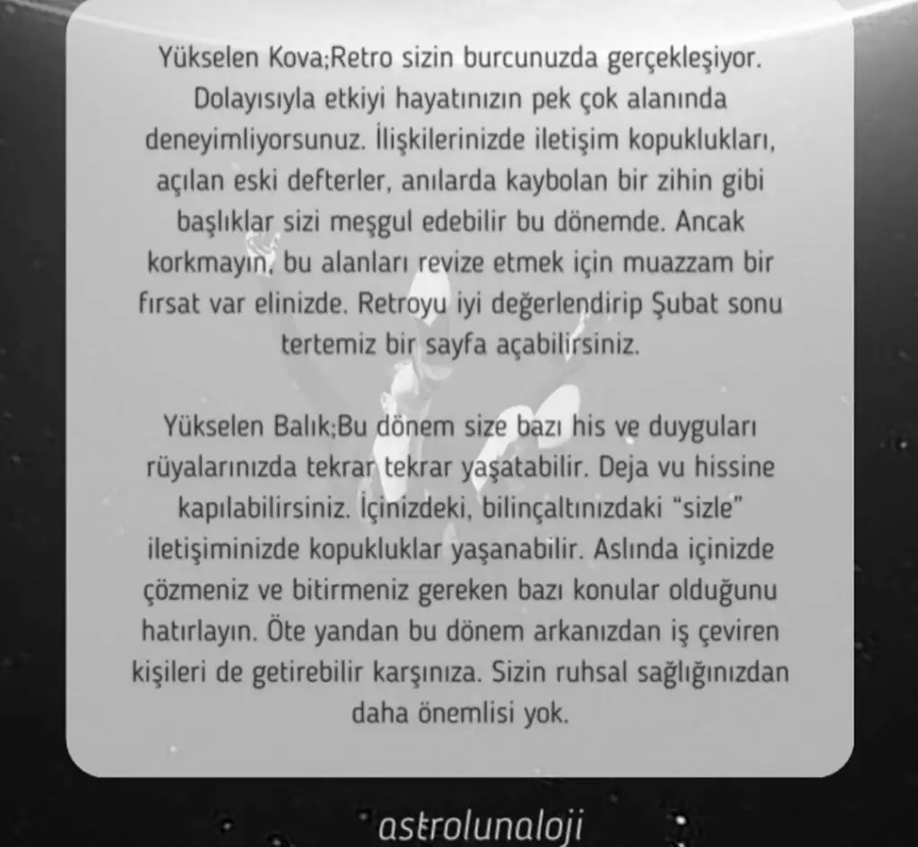 merk1 (7).webp