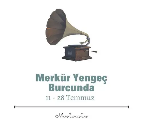 merk3 (1).webp