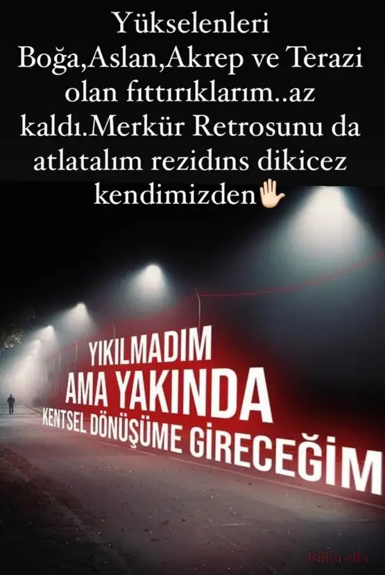 merk7.webp