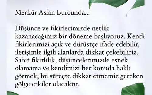 merkasl.webp