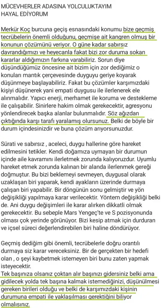 merkloç88 (2).webp