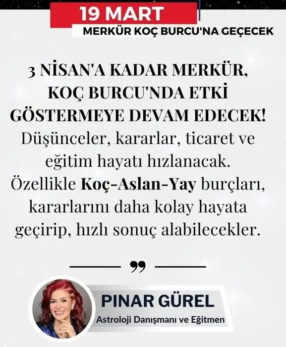 merkovc.webp
