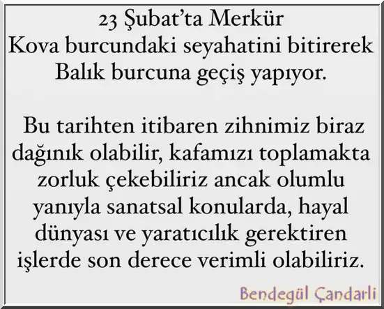 merkur balık.webp